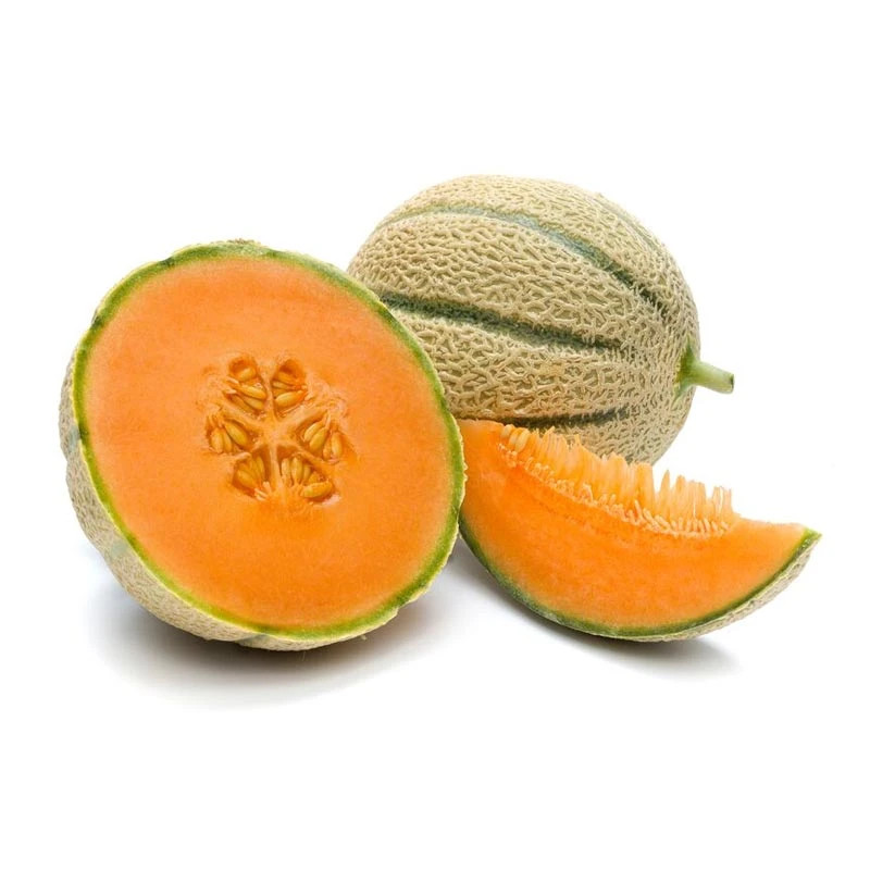 CANTALUPO
